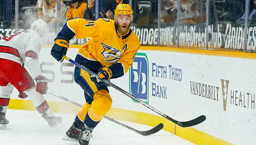 Read more about the article Nashville Predators