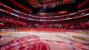 Read more about the article Hockey Red Wings