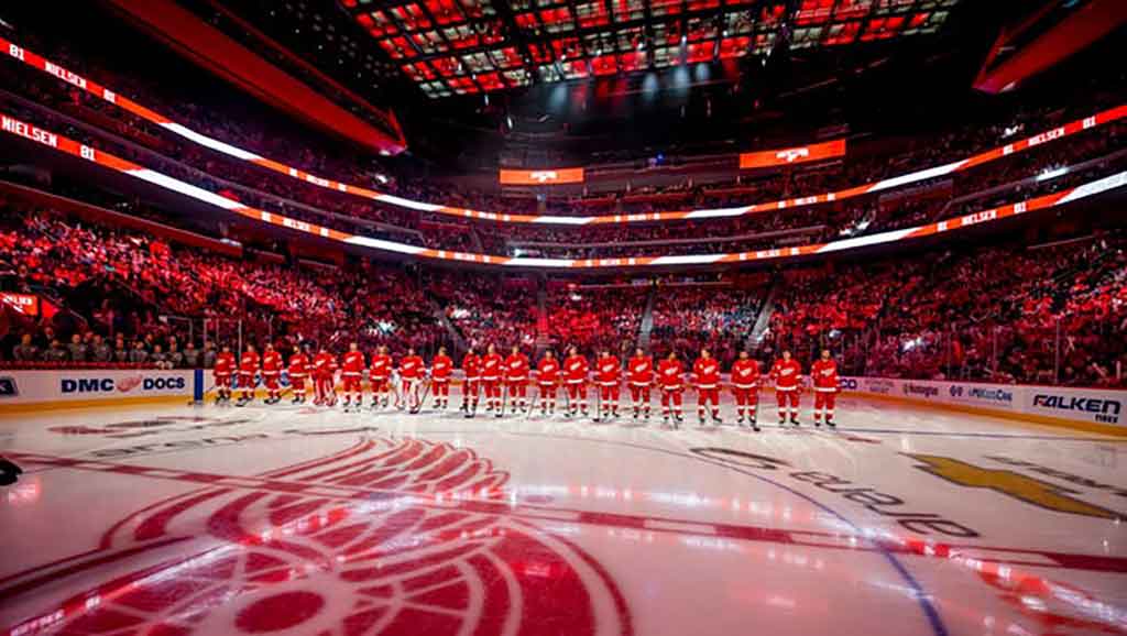 Read more about the article Hockey Red Wings