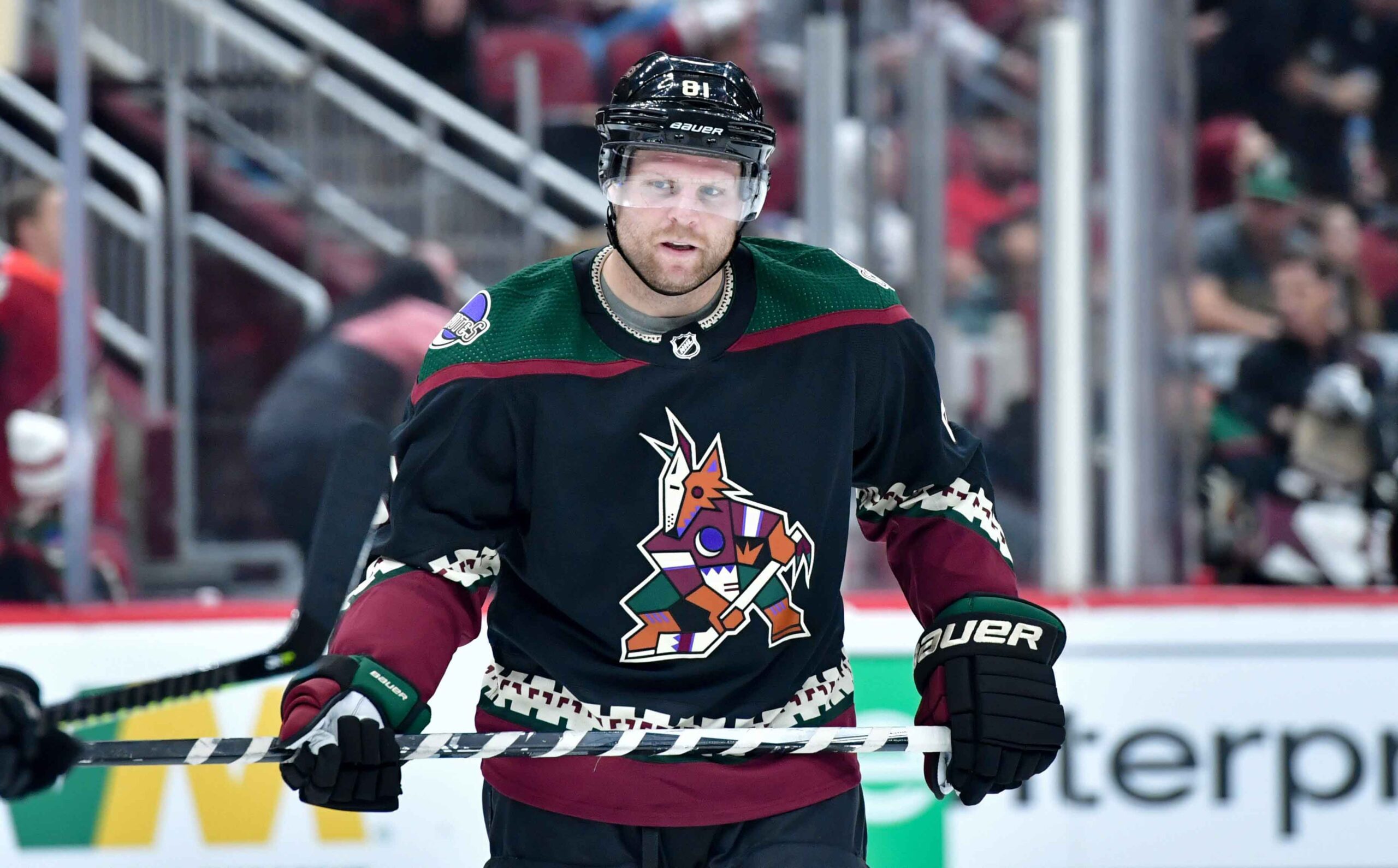 Read more about the article Arizona Coyotes