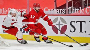 Read more about the article NHL Red Wings