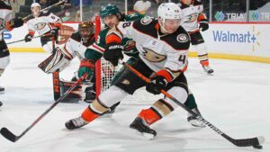 Read more about the article Anaheim Ducks