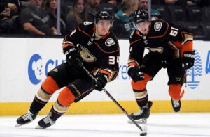 Read more about the article Anaheim Ducks