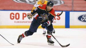 Read more about the article Florida Panthers